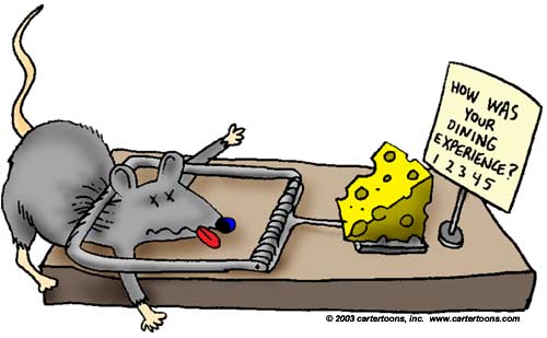 Download Funny Animal Cartoons | Cartertoons